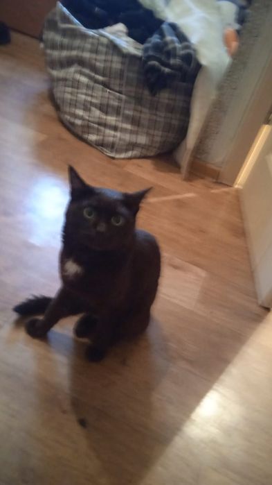 Вознаграждение 5000 тысяч