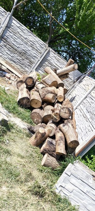 Lemne ieftine pentru iarna