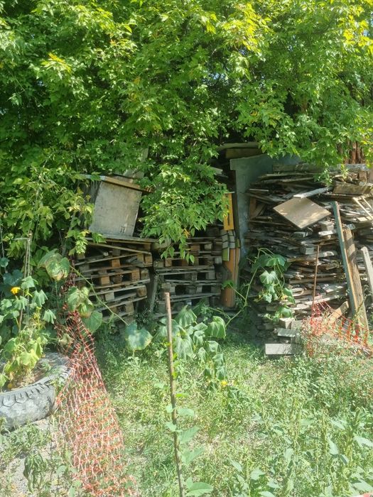 Продам дрова и поддон