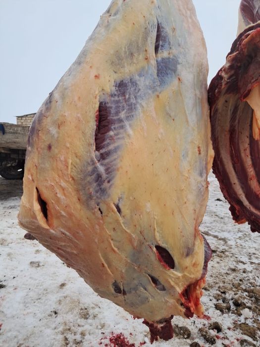 байтал 2800 тг кг