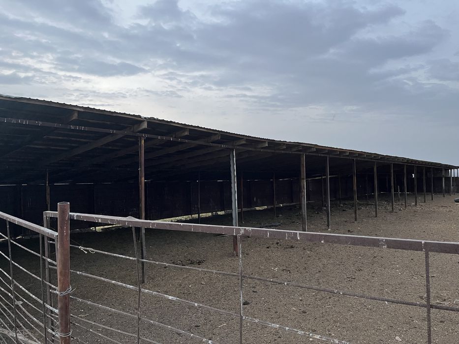 Фазенда (баз) сатылады