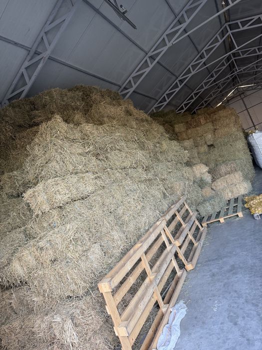 Vand baloti lucerna,cantitate mare