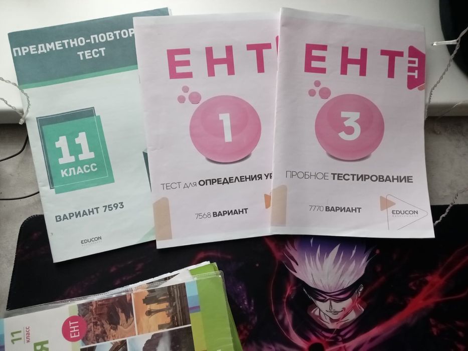 Книги ЕНТ. Достык