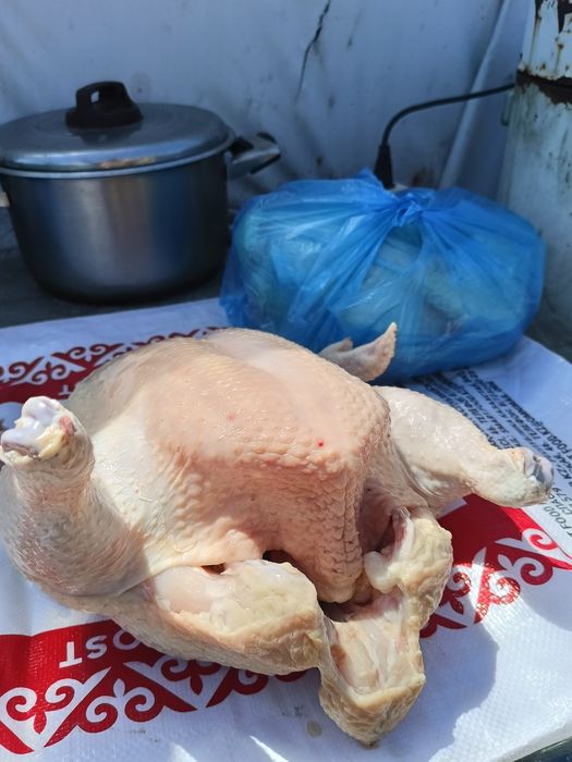 Мясо бройлера домашнего
