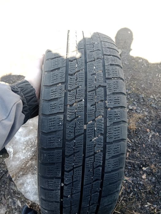 Автошины продам.