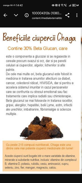 Chaga , aurul negru