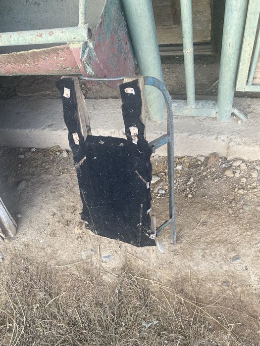 Сгенваот хорошой