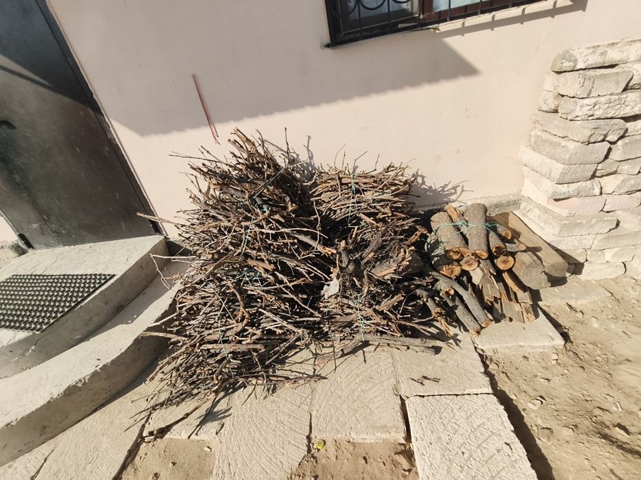 Продаю дрова для шашлыка