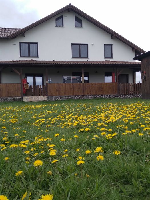 inchiriem 2 Camere , PARTER LA CASA + CURTE la 14 km de Brasov