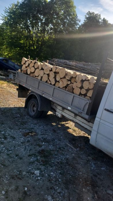 Lemne de foc fag
