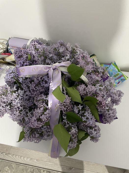 Сирен,средный,свежий только что пришла