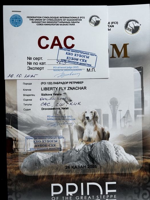 Щенок лабрадора девочка продажа