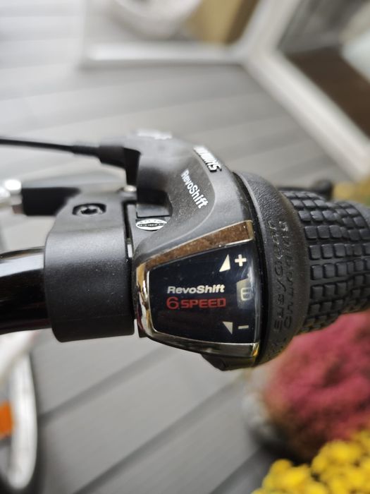 Bicicleta cygnus super 20