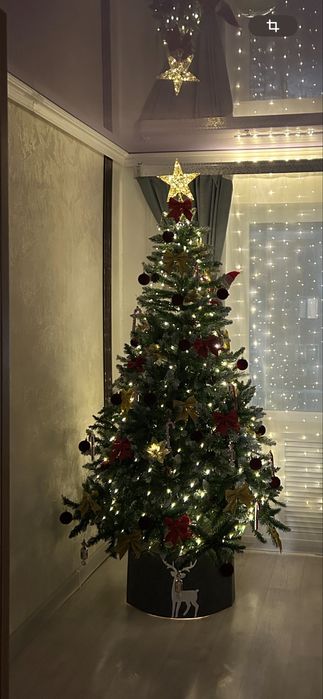 Продам елку пушистую