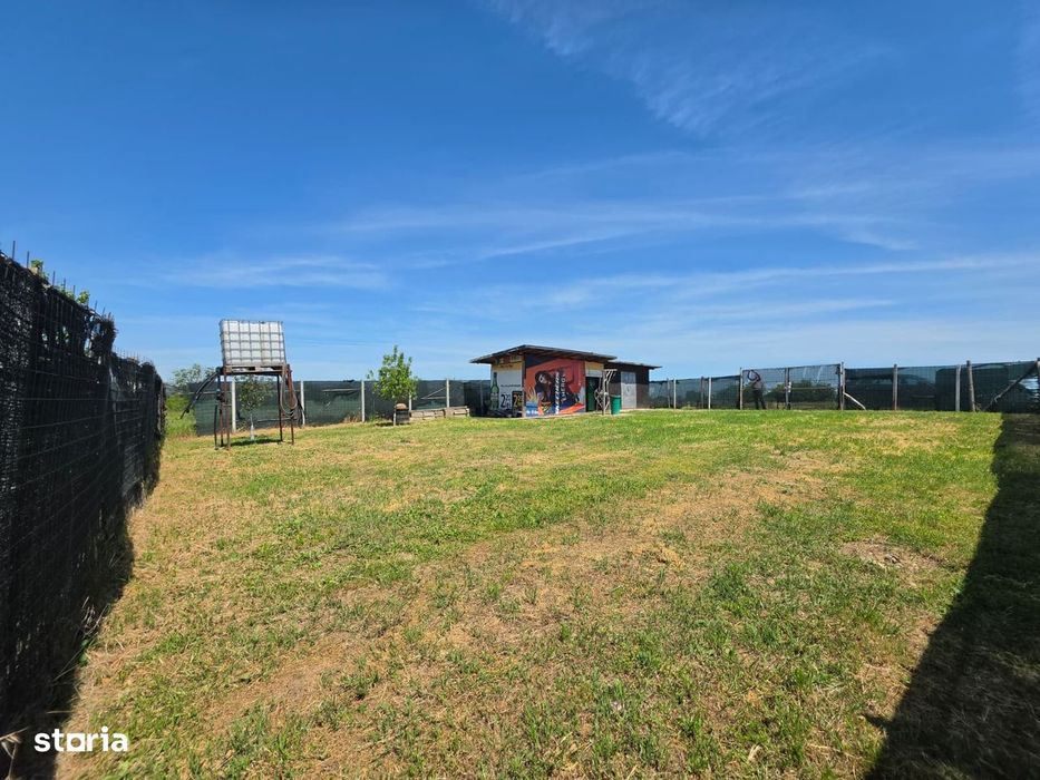 Teren cu livada perfect pentru CASA - 1.200 MP Sat Varlaam, Giurgiu