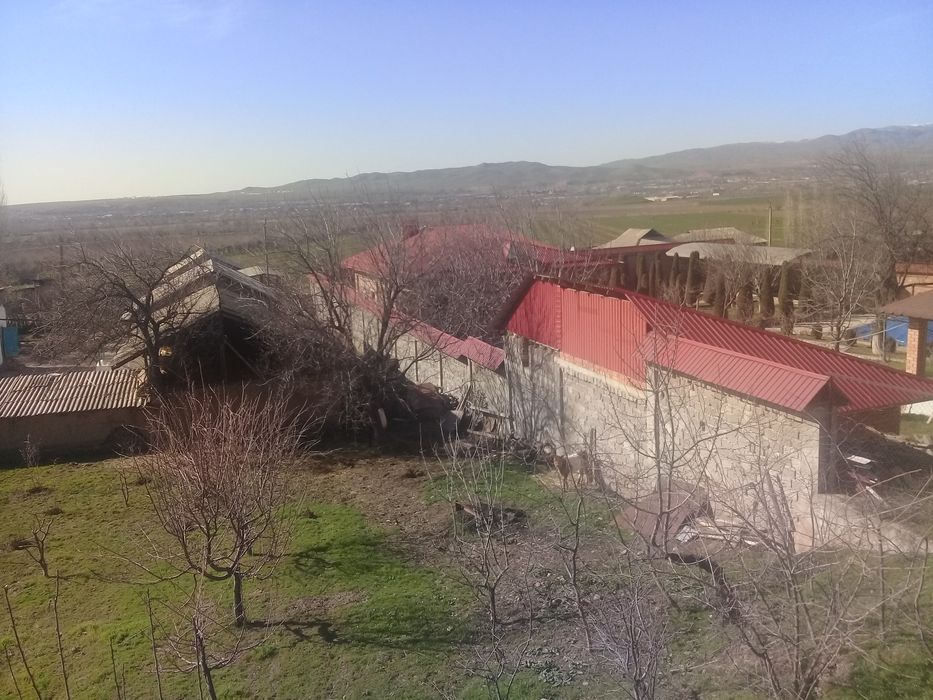 Уй сотилади! Бустонлик тумани Янги аул махалласида!