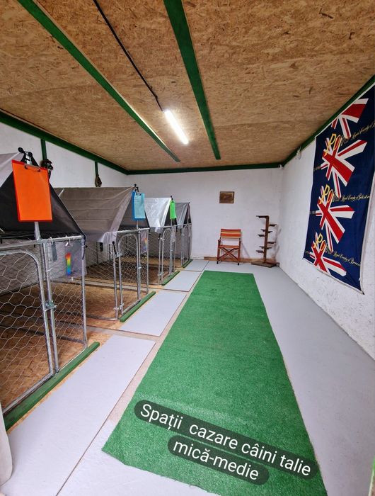 Casa de vânzare-Cefa-Bihor