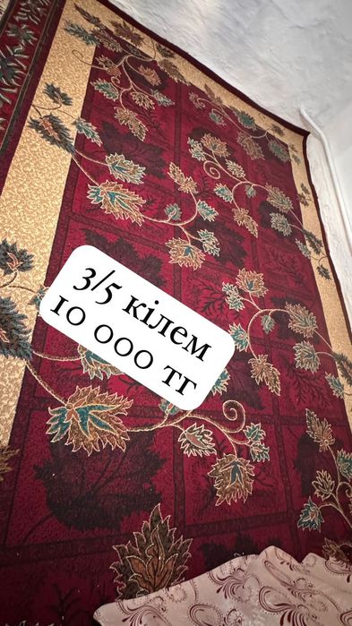 Кілемдер мен паластар турли размерде