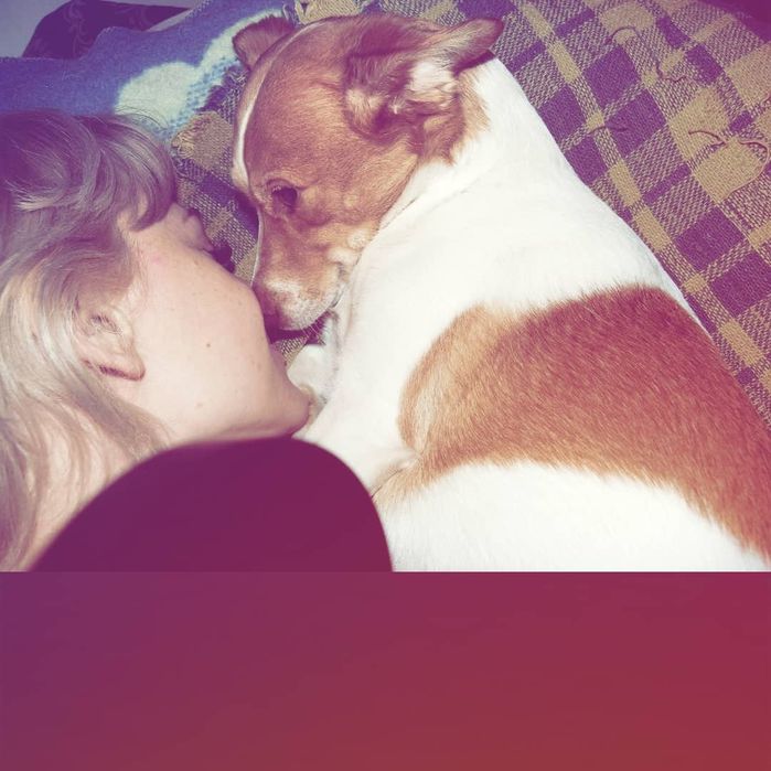 Передержка животных