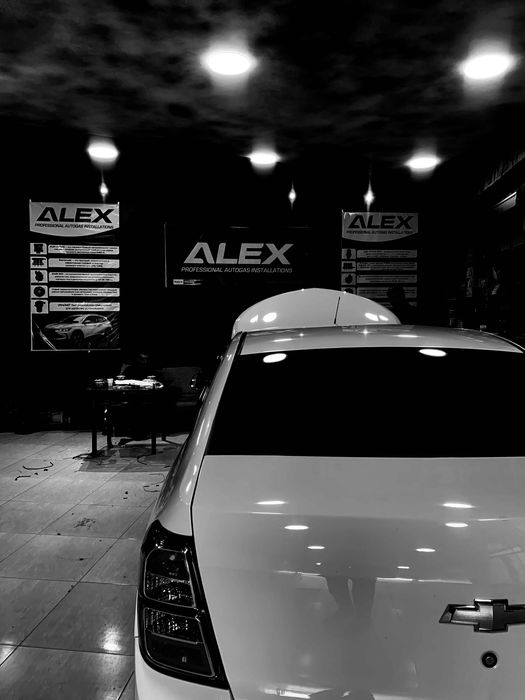 Prapan ornatish, 4 euro alex optima