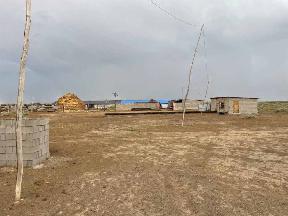 Фазенда / КХ / Ферма