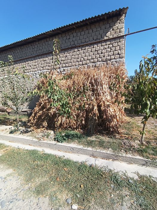 Makayi poyalar  arzon narxlarda beramiz