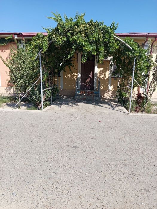 Катеж Уй ховли гоз бор