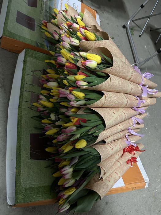 Корпоратив тюльпаны в Алматы — 600 тг