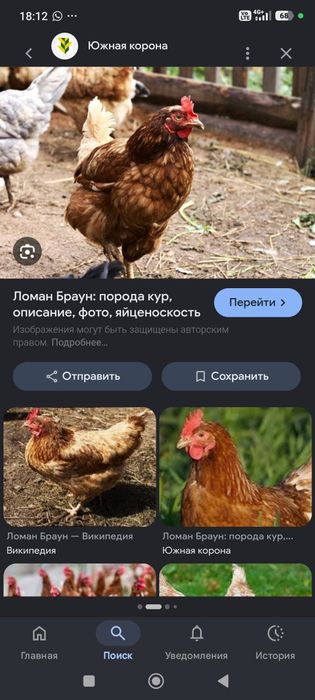 Бизнес план по которому можно связаться.