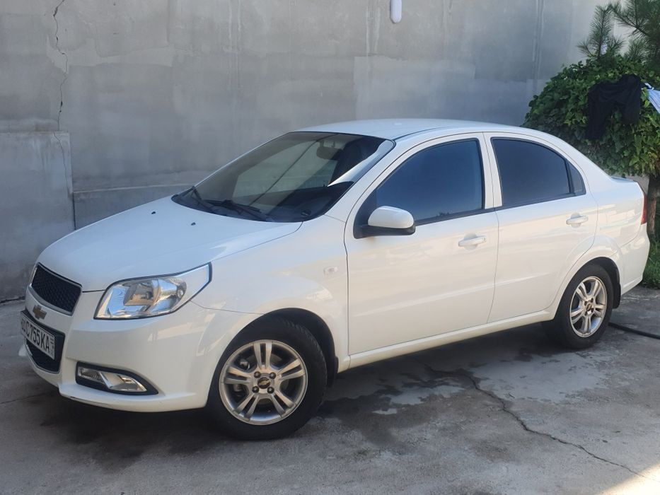 Nexia 3 rangi oq