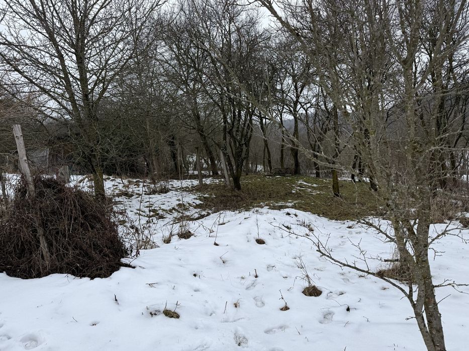 Teren intravilan curti constructii CU