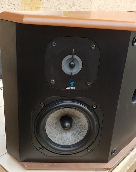 JM Lab/ Focal Electra SR30 incinte boxe difuzoare