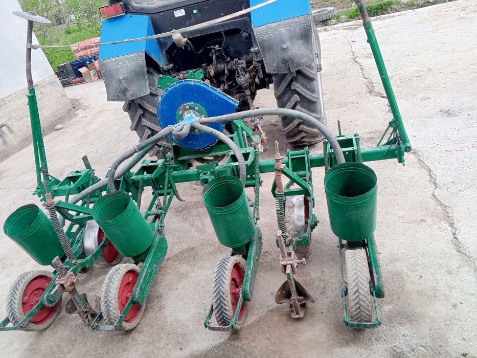 Ruminski selka. Makkajoʻxori selka.