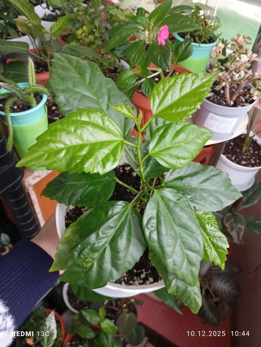 Каждый по 2500 тенге