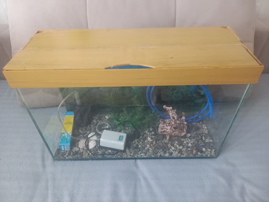 Пподам 50л аквариум