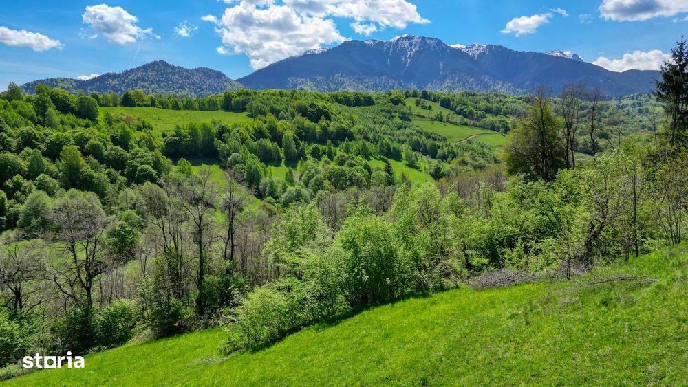 Teren extravilan 20.000 mp, zona Bran, vedere spre Munții Bucegi
