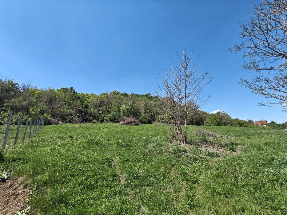 Teren intravilan 1400 m2  - la 10 minute (5 km) de centrul Târgu Mureș