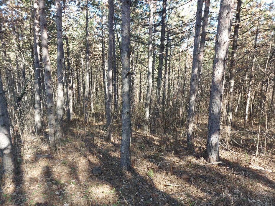 Продава се Парцел в с. Малка Верея, Област Стара Загора - 1333 кв.м за 4 €/кв.м - Снимка #20