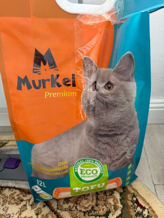 кошку в хорошие руки