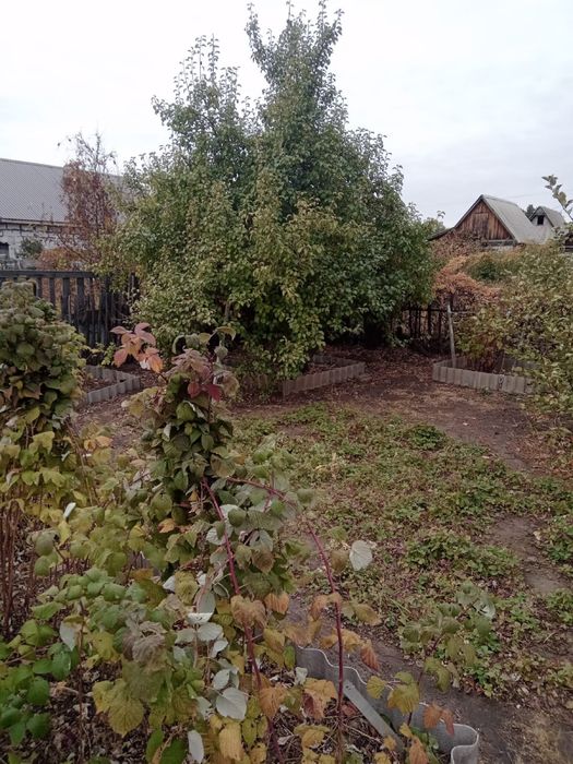 Продам дачу садовое общество Мелиоратор