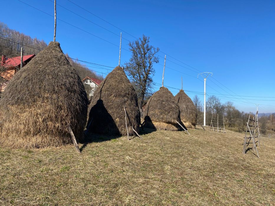 Fîn și otavă de vînzare