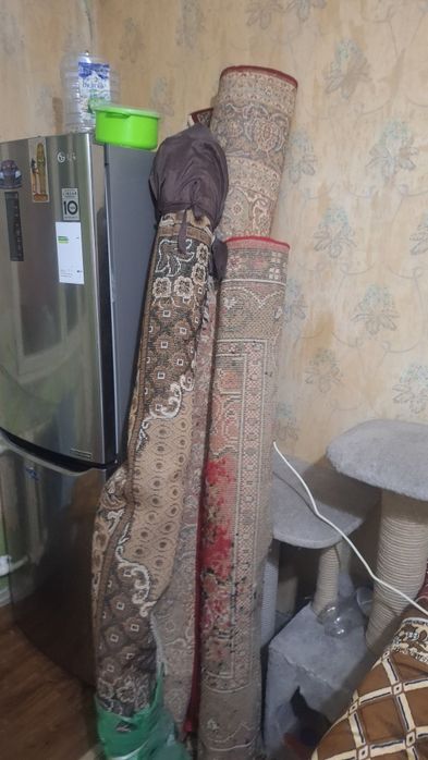 Ковёр  пол года назаж покупал