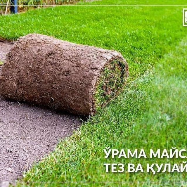 Сантехник/Электрик Газон Ландшафт Полив