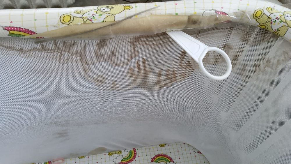 Отдам за шоколадку