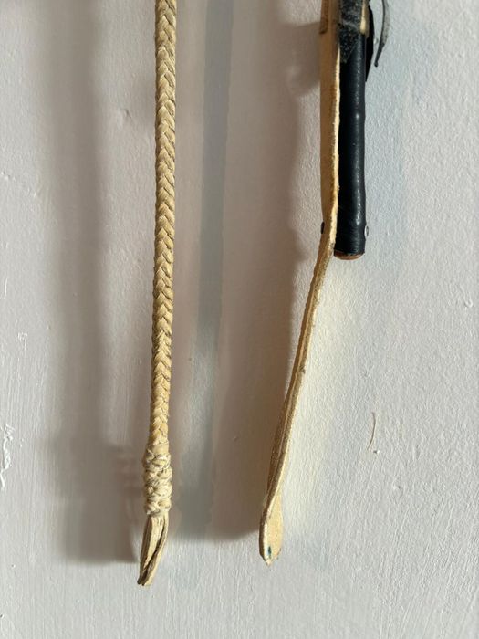 Қамшы 8 өрім | Плеть