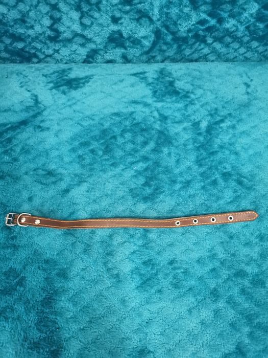 Продам ринговку для собак