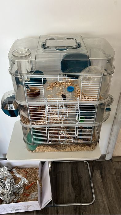 Cusca hamsteri + 2 hamsteri femela si mascult