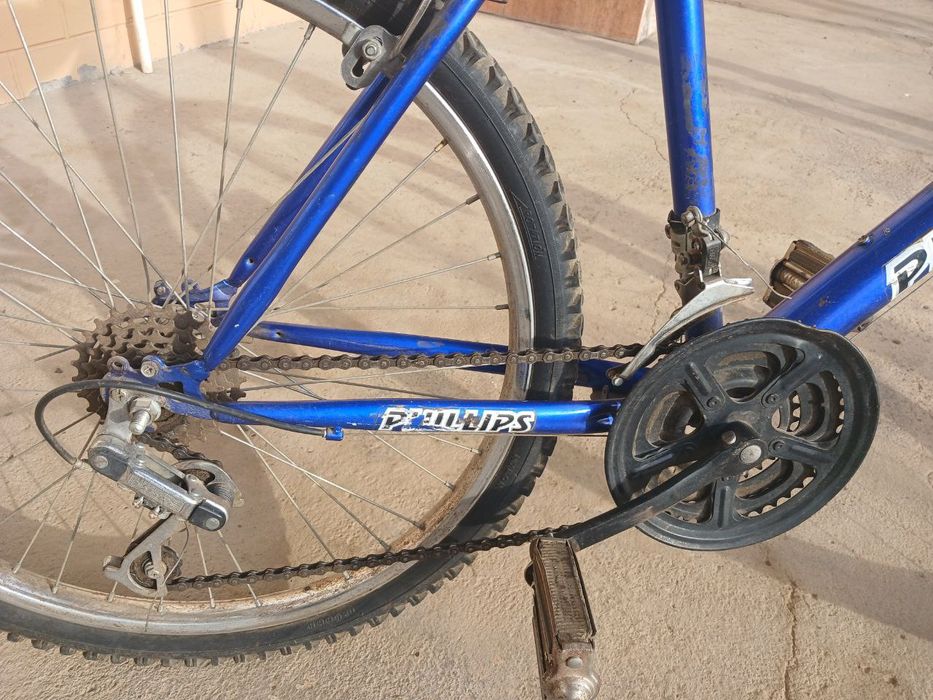 Velosiped PHILLPS.
