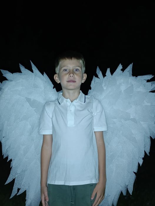 Крылья  демона и ангела