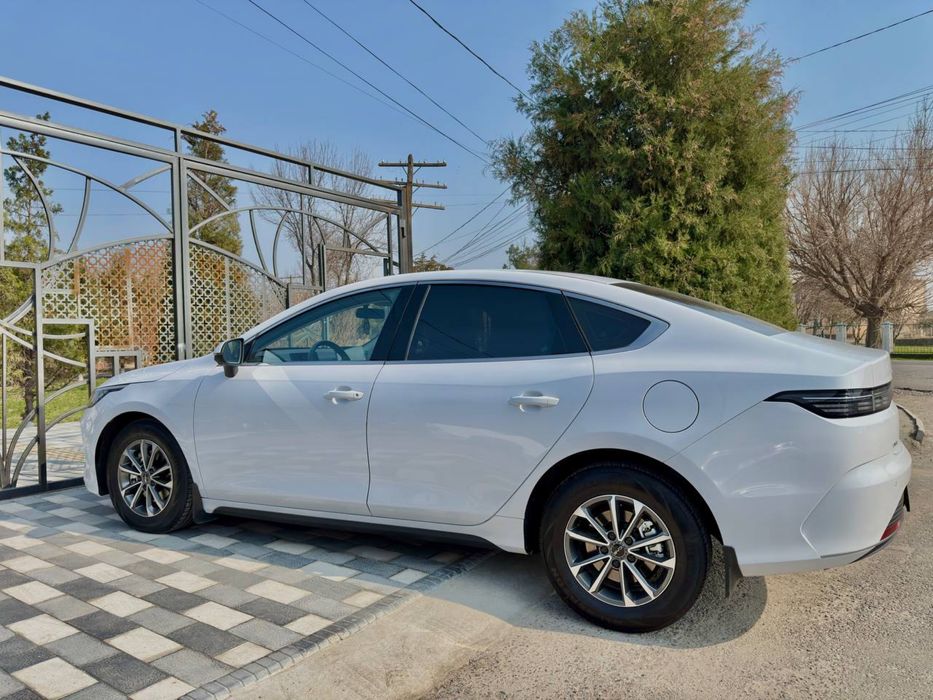 Byd Chazor 2 позиция